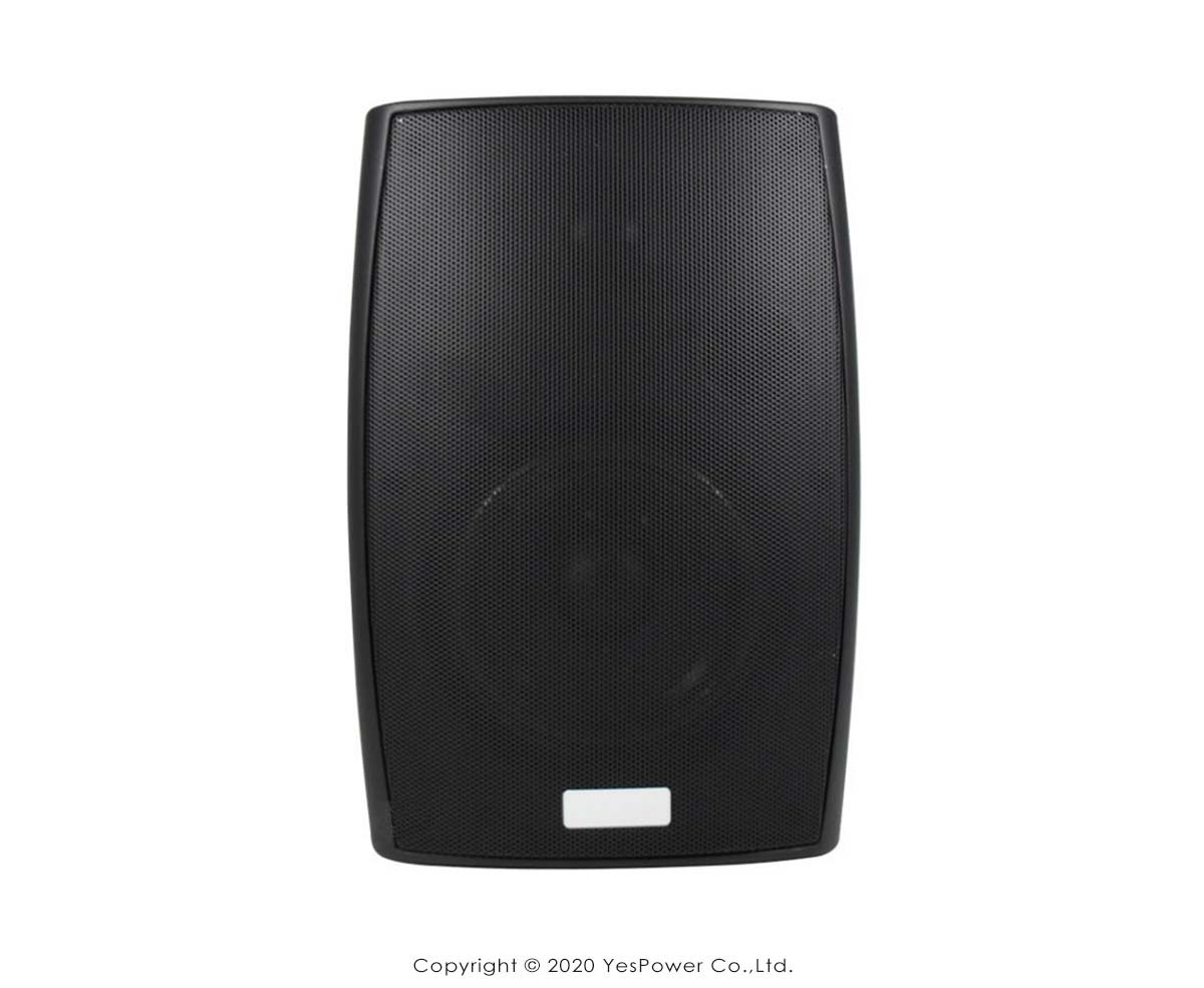AUDIMAXIM 音樂大師 CK-K56W 專業PA喇叭